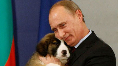 к чему снится президент путин женщине