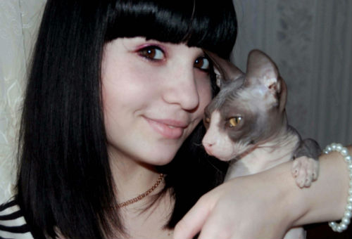 кошка к чему снится девушке к чему снится кошка девушке