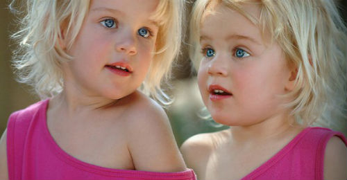 к чему снятся близнецы