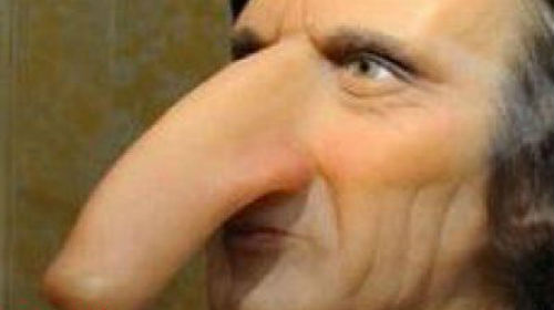 очень большой нос