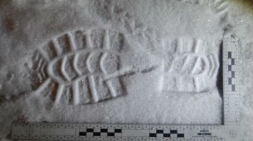 к чему снятся следы преступления