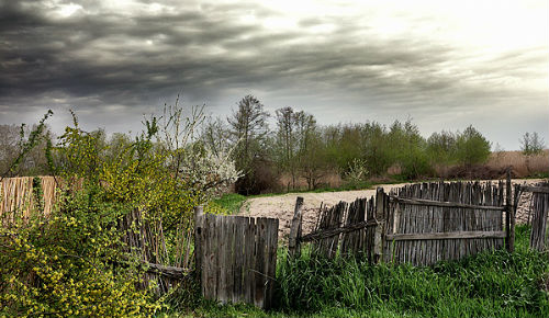 старый забор
