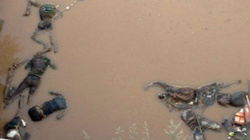 видеть трупы в воде