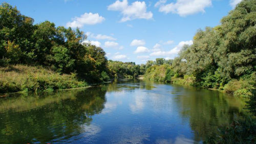 видеть много воды в реке
