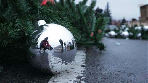 упала елка