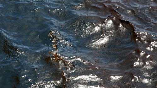 черная вода во сне