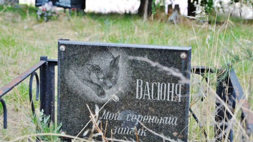 кладбище животных