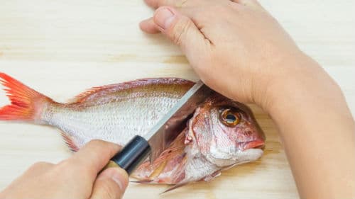 потрошить морскую рыбку