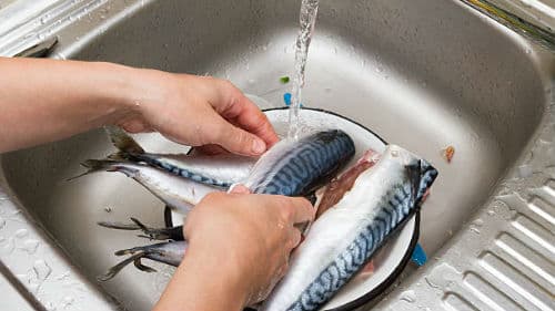 мороженая скумбрия