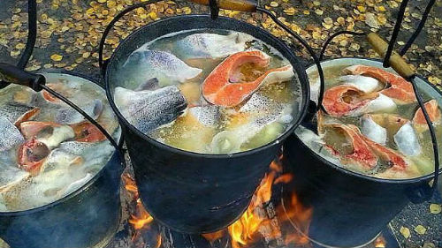 уха из красной рыбы
