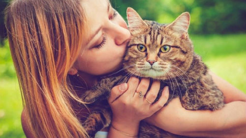 видеть как целуешь кота