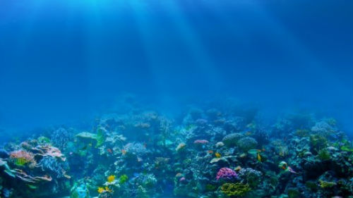 видеть морское дно 