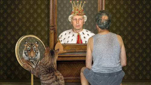 видеть доброго тигра
