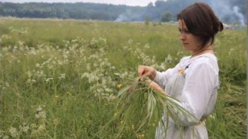 какие травы собирать на купала