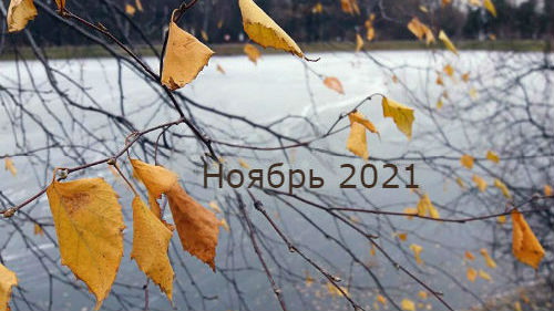 гороскоп на ноябрь 2021