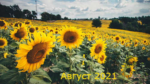 гороскоп на август 2021