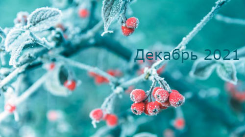 гороскоп на декабрь 2021