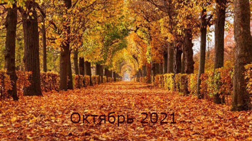 гороскоп на октябрь 2021