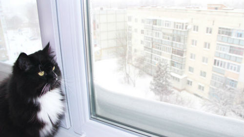 к чему снится метель