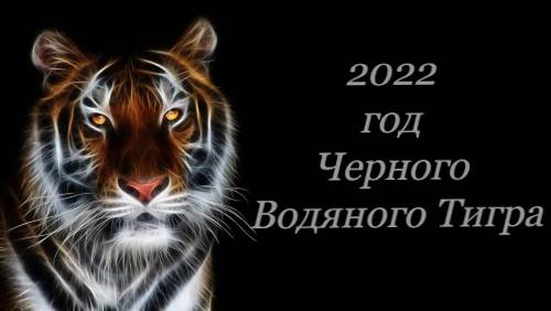 2022 год черного водяного тигра
